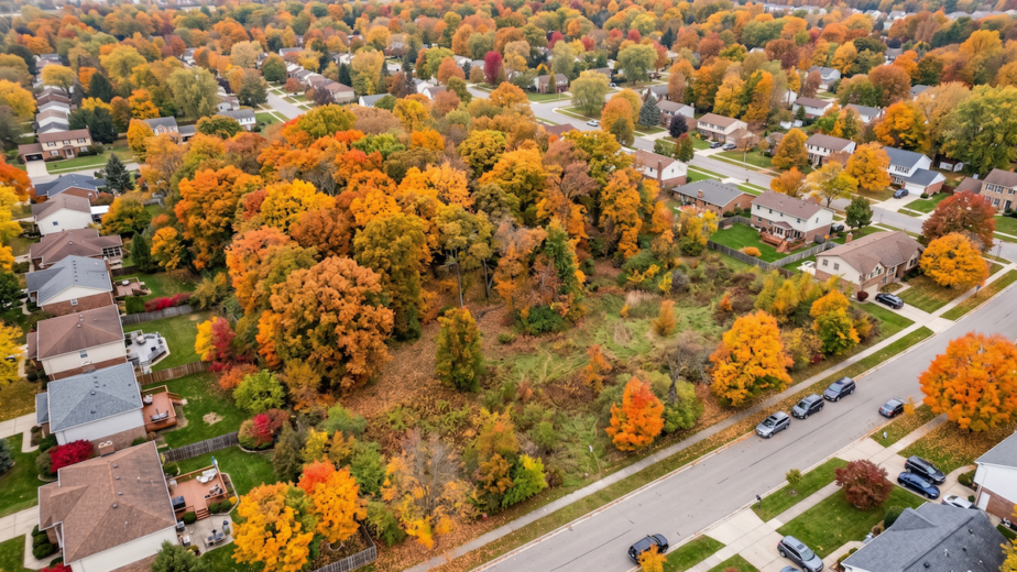 a large vacant wooded lot in a suburban Michigan neighborhood in autumn