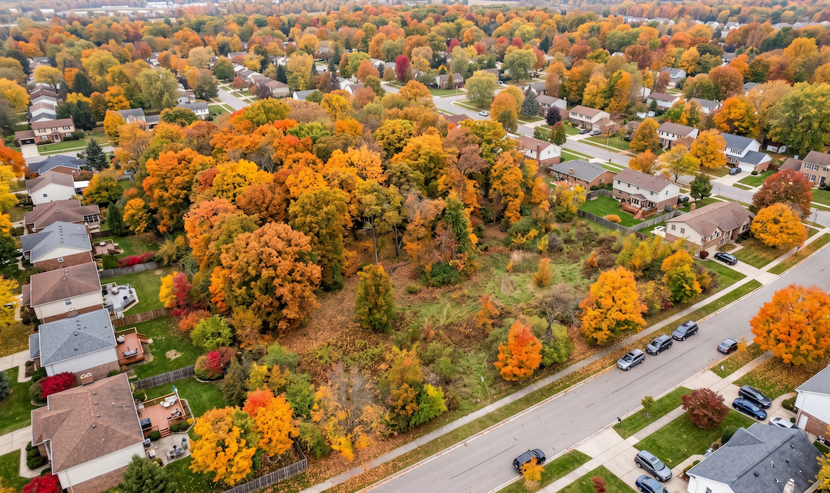 a large vacant wooded lot in a suburban Michigan neighborhood in autumn